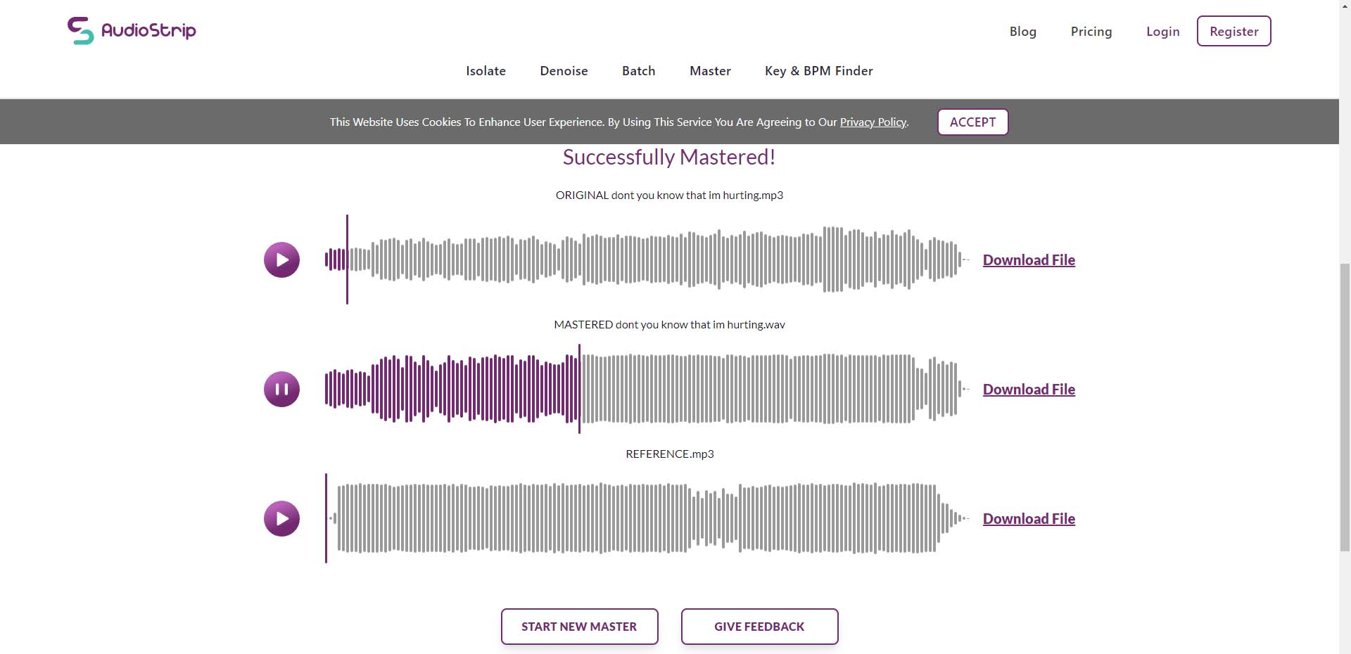 AudioStrip interface